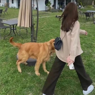 鱿鱼仔的乡土生活第八季